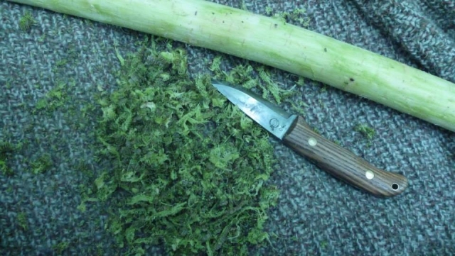 Recolección de corteza exterior 